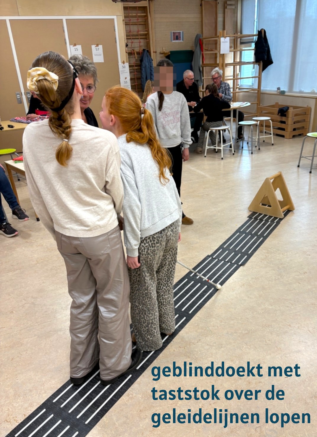 Anja met geleidelijnen